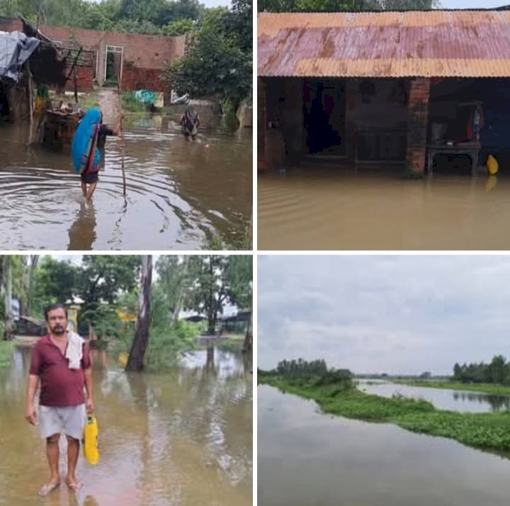 रायबरेली क्षेत्र में आई बाढ़ से हजारों बीघे धान की फसल जलमग्न, किसानों के चेहरो पर छाई मायूसी