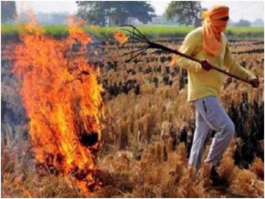 पंजाब में एक ही दिन में पराली जलाने की 3,230 घटनाएं, हरियाणा में भी ख़राब हुई हवा; दिल्ली तक असर!