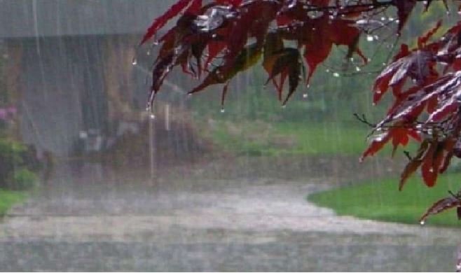 जानें आज कैसा रहेगा मौसम का हाल? यूपी के इस जिले में ओलावृष्टि से हुआ सबसे अधिक नुकसान, मौसम विभाग ने जारी किया ये बड़ा अलर्ट!