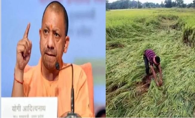 यूपी में ओलावृष्टि और बारिश ने सात जिलों का बिगाड़ा हाल, सरकार ने तय की मुआवजे की सीमा
